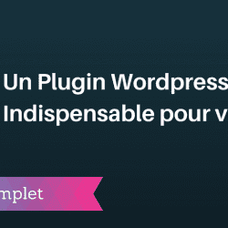 plugin wordpress indispensable