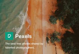 Pexels﻿ free images no copyright